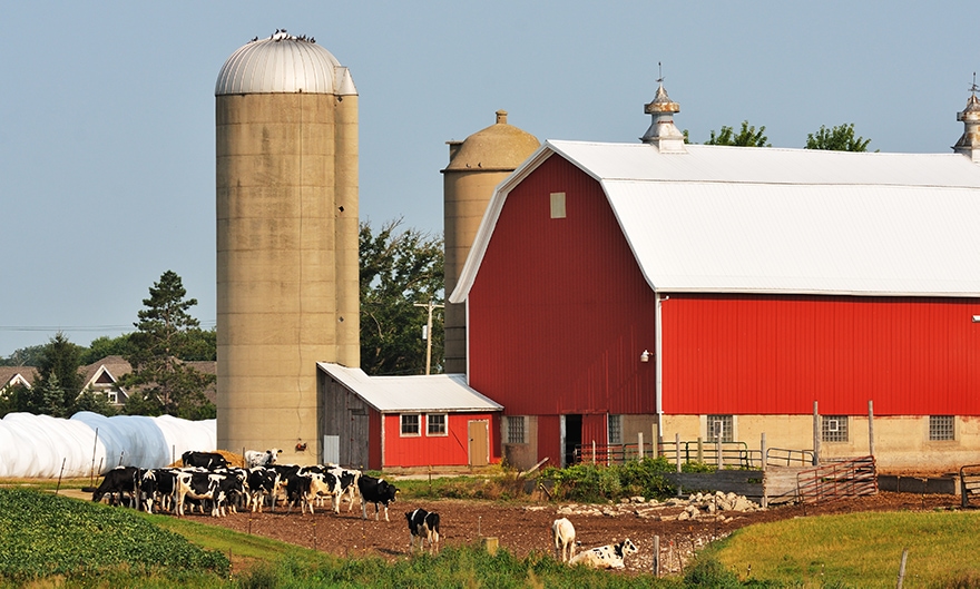 Farm