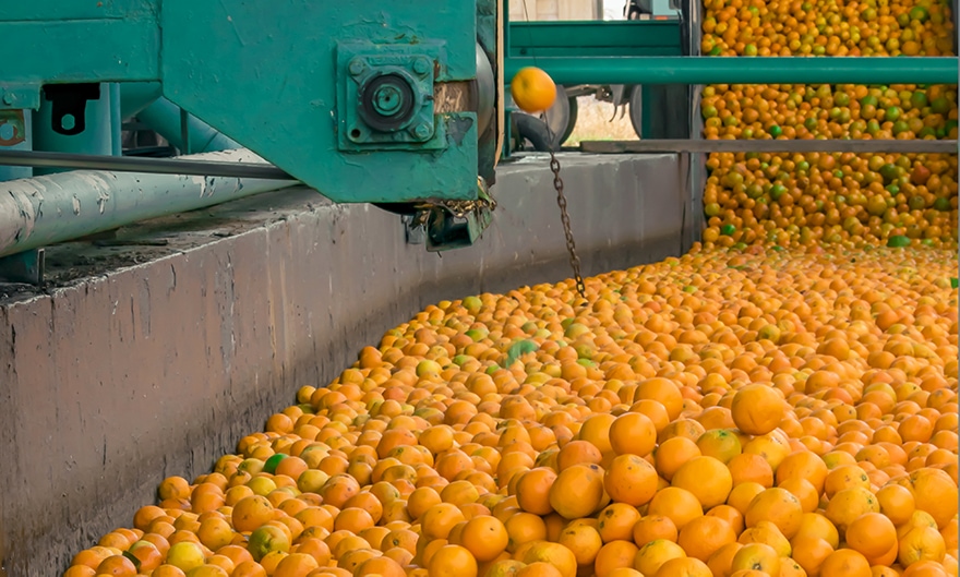 OrangeJuice