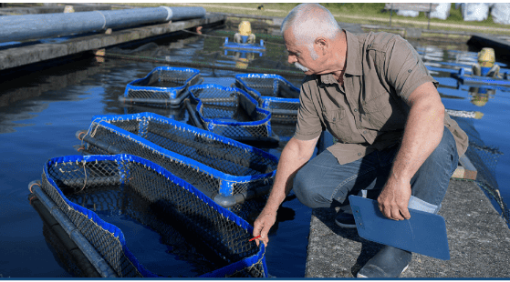 July 2023 Issue: Diving Into Automated Self-cleaning Filtration Solutions For Aquaculture