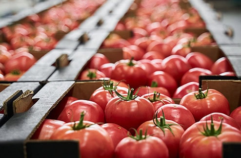 February 2026 Issue:  Jump-starting 2026 At The California Food Processing Expo!