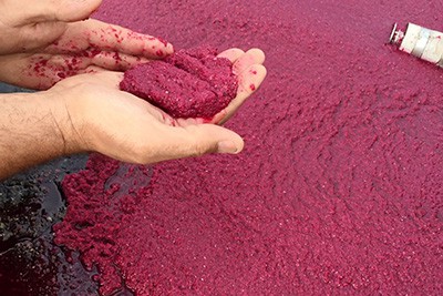 How Spiral Water Put The Squeeze On Cost And Waste For High Solids Juice Processing