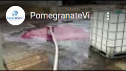 Pomegranate Video