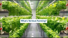 Vertical Farming Filtration