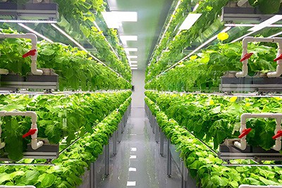 Spiral water: helping the vertical farming industry reach new heights