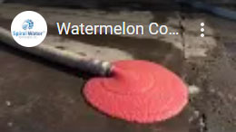 Watermelon Concentrate