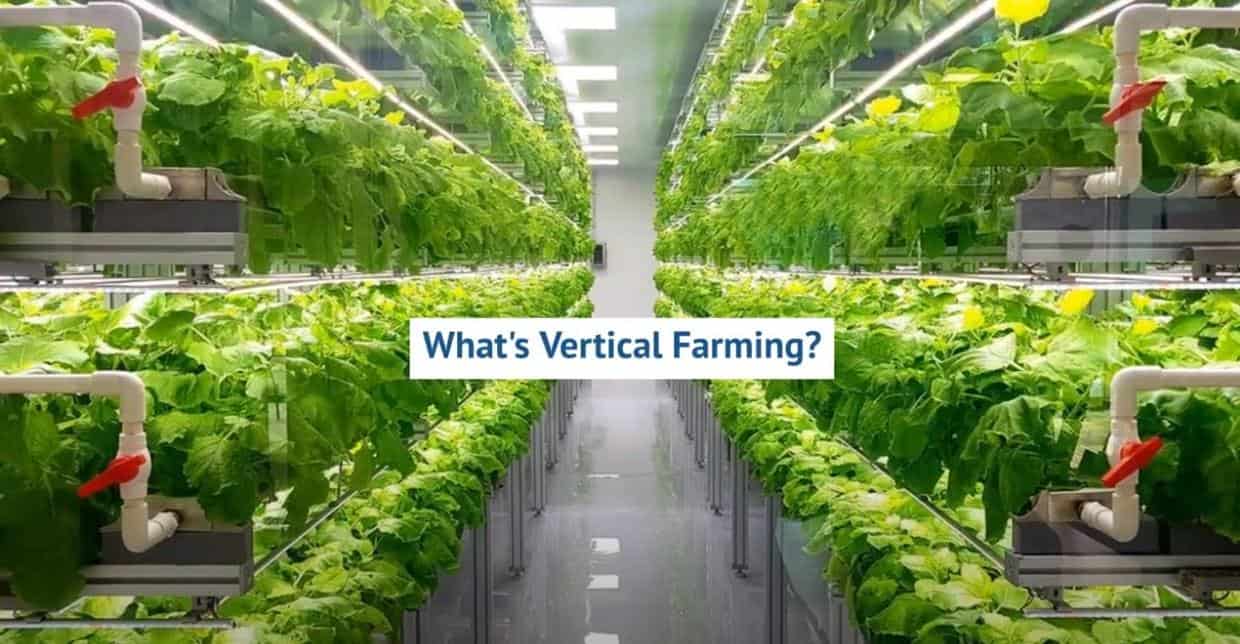 Vertical Farming Filtration