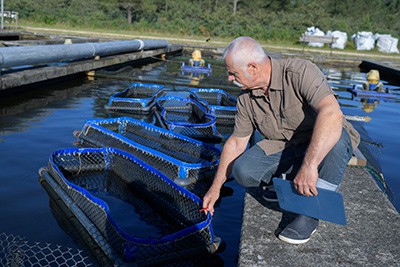 Diving into automated self-cleaning filtration solutions for aquaculture