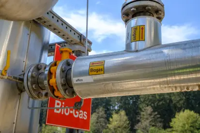 Biogas / Renewable Natural Gas (Rng)