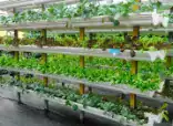 vertical-farming-img Vertical Farming